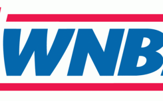 WNBA Logo